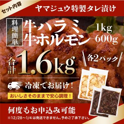 ふるさと納税 室戸市 ヤマジュウの特選タレ漬け!牛ハラミ肉1kg&国産牛ホルモン600g |  | 03
