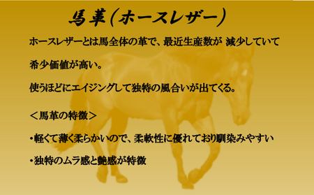 ゴラックジャパンメイド馬革シューズGLK2002（ネイビー） 26.0cm