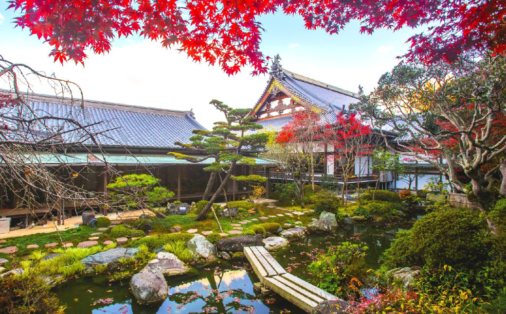 新居浜の名刹「慈眼寺」で水引細工体験！抹茶とフレンチも堪能する贅沢な時間 「7名様」 体験 水引細工 散策 チケット （811）