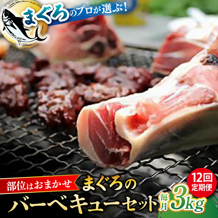 【全12回定期便】まぐろ おまかせバーベキューセット 冷凍約3kg【横須賀商工会議所 おもてなしギフト事務局（本まぐろ直売所）】 [AKAK034]