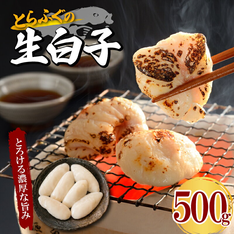 【ふるさと納税】 とらふぐ白子 大容量 500g 冷凍 トラフグ 生 白子 おつまみ とらふぐ グルメ 魚介 新鮮 生白子 ふぐ しらこ 希少 鍋 白子焼き 白子鍋 炙り白子 焼き白子 関門ふぐ 高級魚 鮮魚 お取り寄せ 濃厚 クリーミー ギフト 贈答 中元 歳暮 お祝い 記念 下関 山口