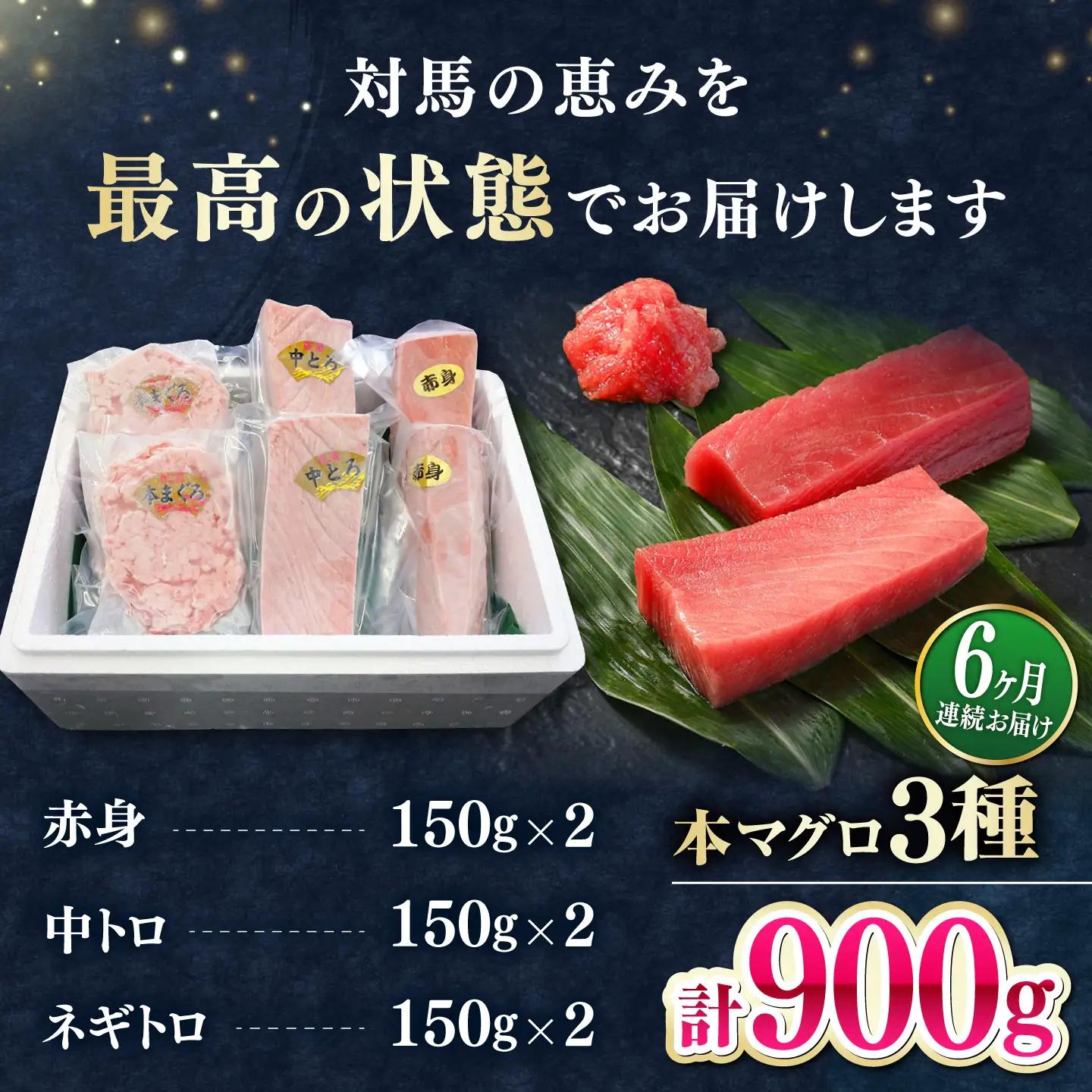【全6回定期便】 対馬産 本マグロ 3種 計900g（赤身/中トロ/ネギトロ）[WAH041] マグロ まぐろ トロ
