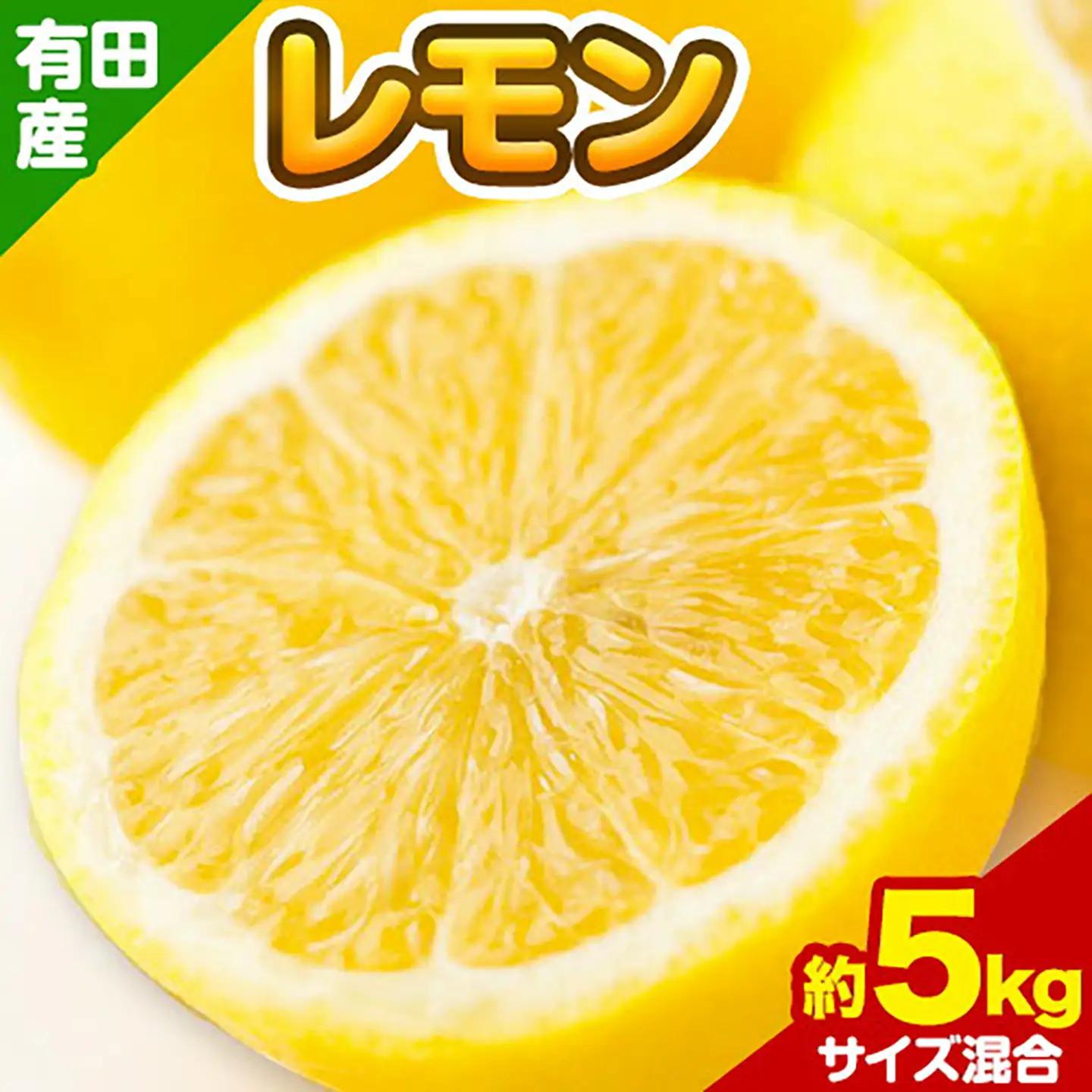 有田産 レモン 約 5kg 厳選館 レモン 檸檬