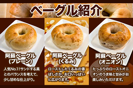 ベーグルワンセット(ハム・ベーコン付き) 1.2kg　ベーグル・ワン《60日以内に出荷予定(土日祝除く)》ベーグル 10個 ハム ベーコン
