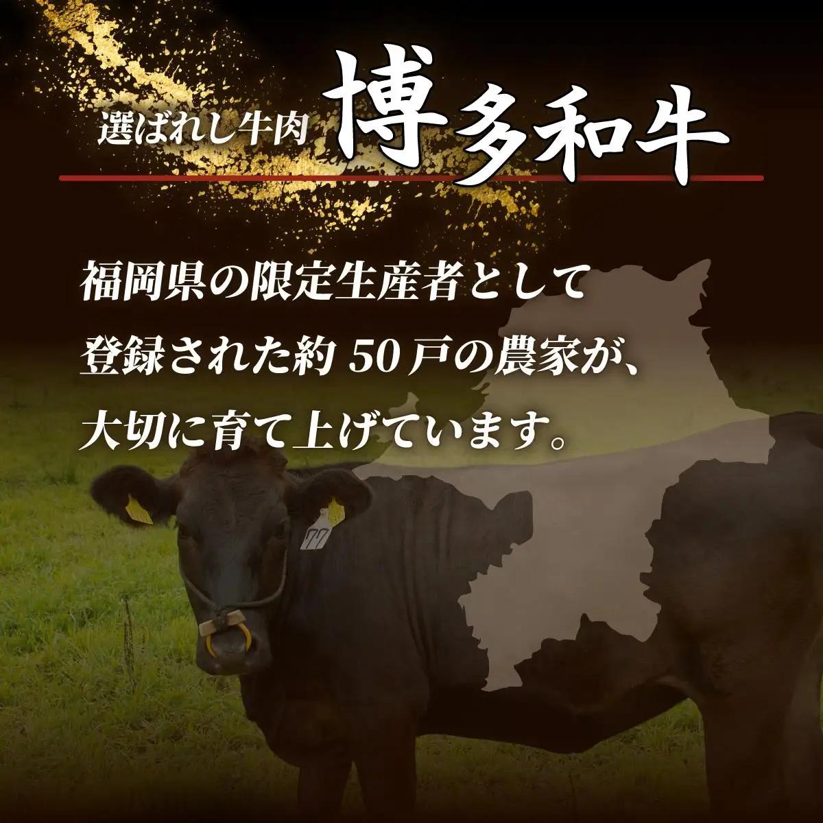 博多和牛切落し500g×2パック (計1kg)