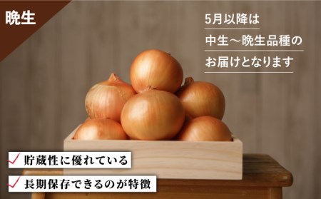 【先行予約】【訳あり】＜2024年3月下旬以降発送＞佐賀県産 玉ねぎ 10kg【八丁屋】新玉ねぎ 訳あり 晩生 訳あり たまねぎ 訳あり玉葱 訳あり 玉ねぎ 訳あり タマネギ 訳あり 佐賀 訳あり 佐