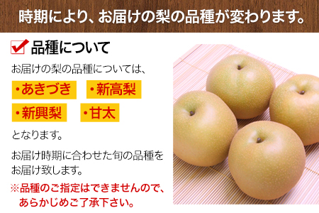 【先行予約】旬の梨 約3kg 梨