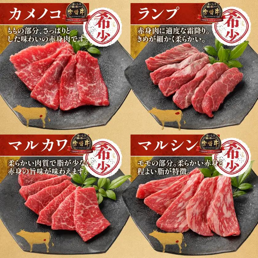 宮崎牛食べ比べ10種盛り焼肉セット〔17-31-003-600g〕_(都城市) 宮崎県産 宮崎牛 A4ランク 焼肉 セット 内モモ カタ トンビ ランプ ラムシン マルシン カメノコ イチボ マルカワ