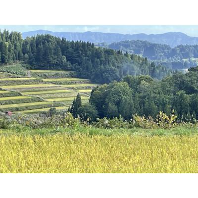 ふるさと納税 十日町市 【発送月固定定期便】先行予約10月〜発送【無洗米　食味鑑定士厳選】棚田百選魚沼こしひかり5kg全6回 |  | 01