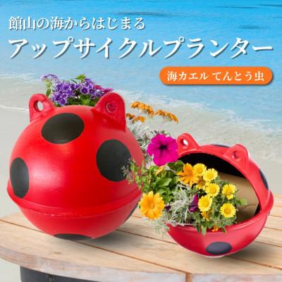 ふるさと納税 館山市 アップサイクルプランター　海カエルてんとう虫(1個)