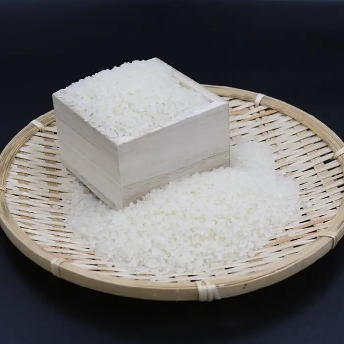【定期便】【令和7年産】嶺南ファームの嶺岡米「コシヒカリ」5kg×3回 [0050-0101]