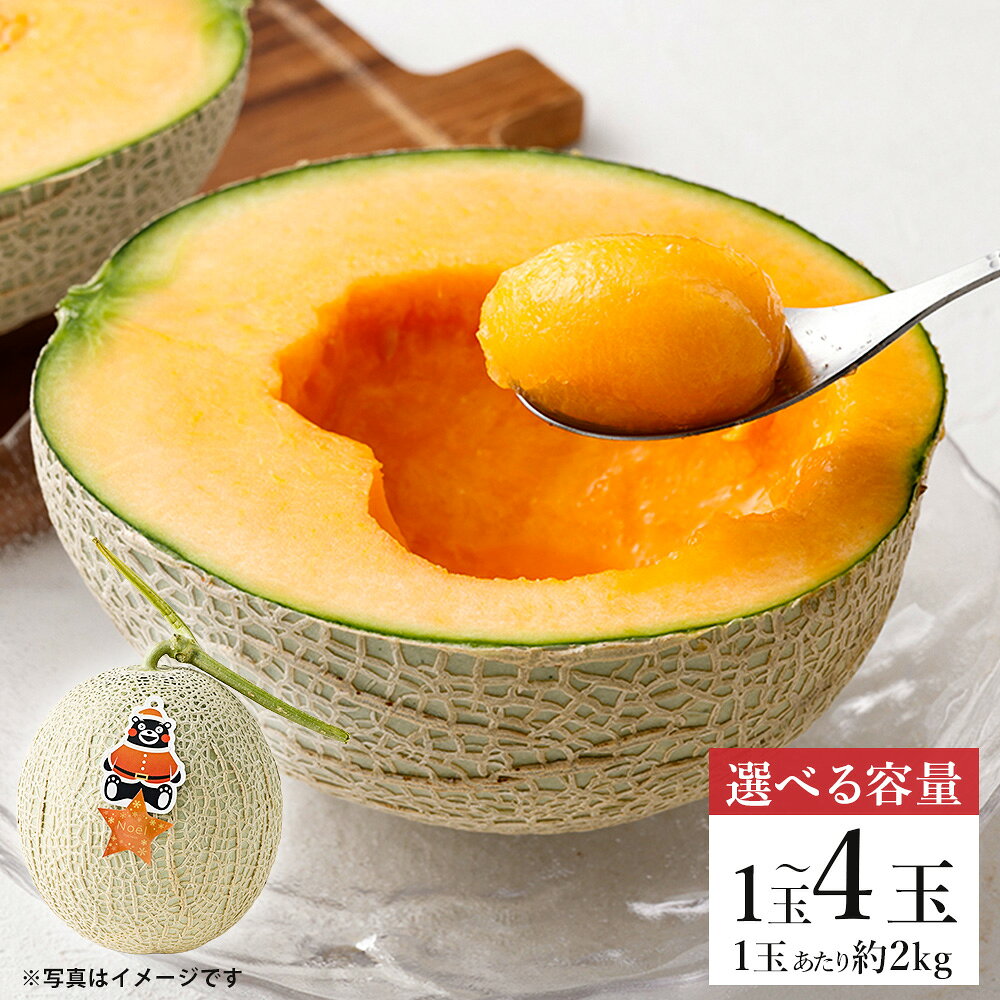 【ふるさと納税】＜選べる内容量＞Noëlメロン 1玉あたり約2kg 1玉 / 2玉 / 4玉 メロン めろん 赤肉 フルーツ くだもの 果物 果実 デザート 熊本県産 国産 熊本県 熊本市 送料無料 【2026年12月上旬～下旬発送予定】
