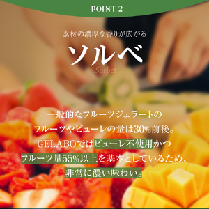 定番のおすすめジェラート8個セット