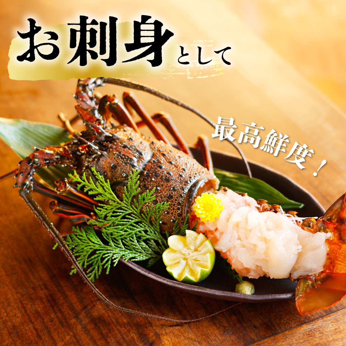 【季節限定】箱詰め伊勢海老サイズおまかせ小セット(約1.0kg)