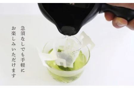 日本茶美人 一煎パック ｢ 深蒸し掛川茶 ｣ 3ｇ×60袋 ドリップ フィルター3 0枚付（ギフト箱入）三重大製茶 深蒸し茶 1951