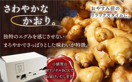 【6回定期便】HAO！ジンジャーシロップ 160g×2   [DAA017]