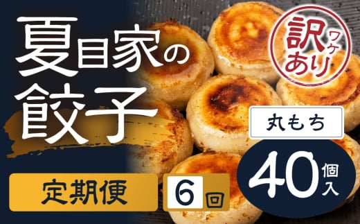 夏目家の丸もち餃子  〈定期便 簡易包装訳あり 40個入×6回〉丸もち餃子 夏目家 餃子 訳あり セット 定期便 惣菜 ぎょうざ 愛知県 豊橋市