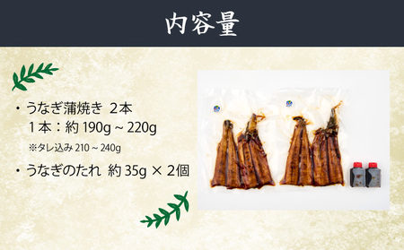 ７０年つぎ足しの秘伝のたれ！初音の厳選高知県産うなぎ蒲焼き２尾 ＿ 国産 ウナギ 鰻 うなぎ 蒲焼き 秘伝のタレ 土用の丑の日 配送可 _hn093