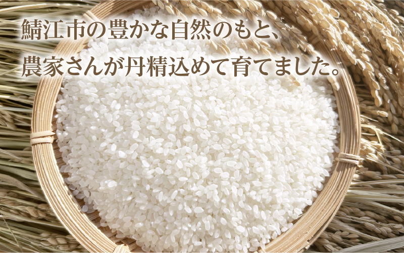 【先行予約】【2026年11月以降順次発送予定】令和8年産 新米 あきさかり 10kg（5kg×2袋） 通常便（1回配送）計10kg（5kg×2袋） 令和8年産