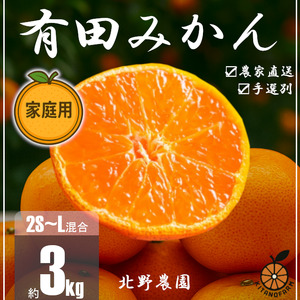 みかん 家庭用 訳あり 有田みかん 2S～Lサイズ 約3kg【ktn057】