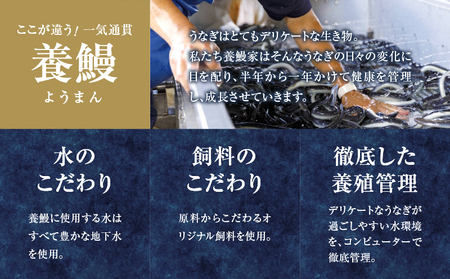 うなぎ蒲焼2尾(さんしょう・たれ付き)計300g以上 鰻 魚 魚介 加工品 九州産 国産_T026-001【人気 鰻 うなぎ ギフト 鰻 うなぎ 食品 鰻 うなぎ おかず 鰻 うなぎ  お土産 鰻 う