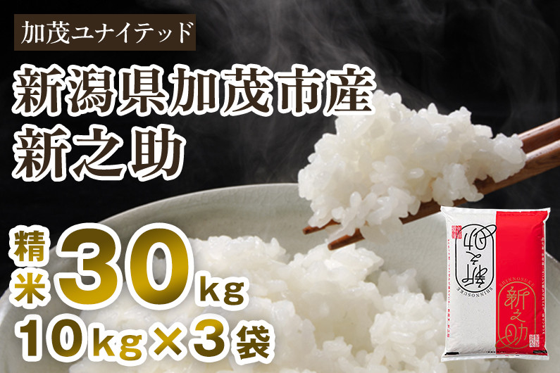 
            【令和7年産新米先行予約】新潟県産 新之助 精米 30kg（10kg×3袋）《10月上旬から順次発送》 東京・南青山の料亭で使用される極上米 加茂市 加茂ユナイテッド
          