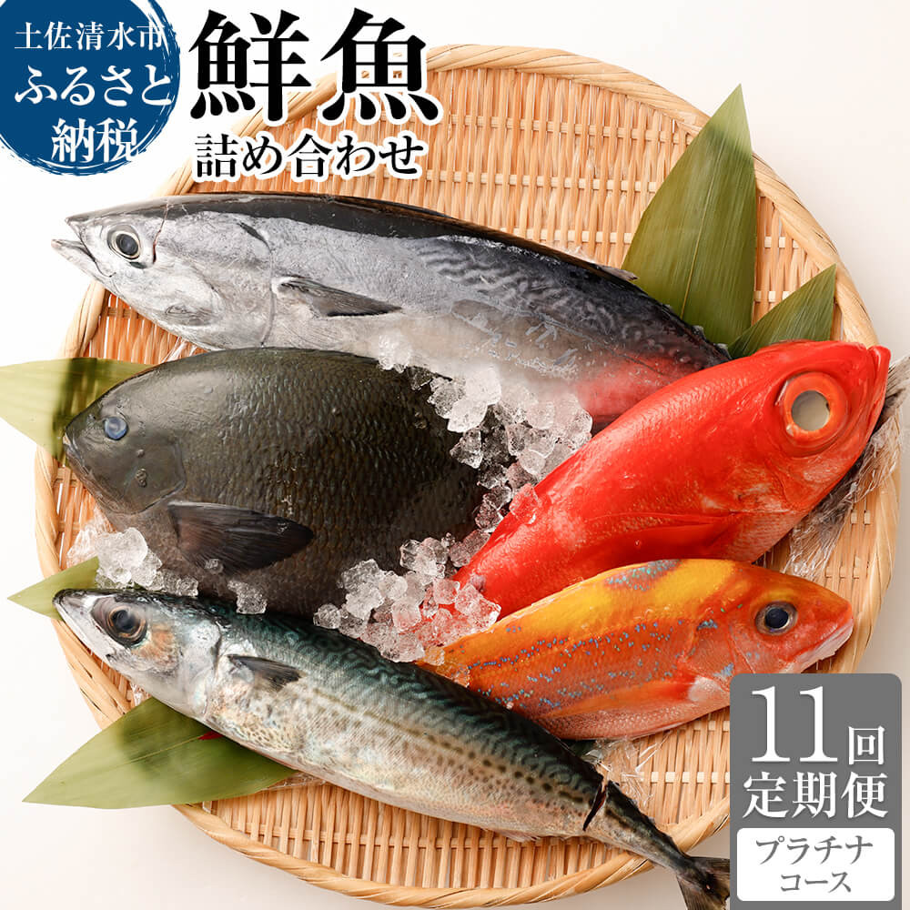 
            <11回定期便> 季節の鮮魚 おまかせお楽しみセット （プラチナコース）鮮魚 ボックス 詰め合わせ 天然魚 食べ比べ 魚介類 海鮮料理 魚 新鮮 刺し身 お楽しみ 定期便 11ヶ月 高知 【J00054】
          