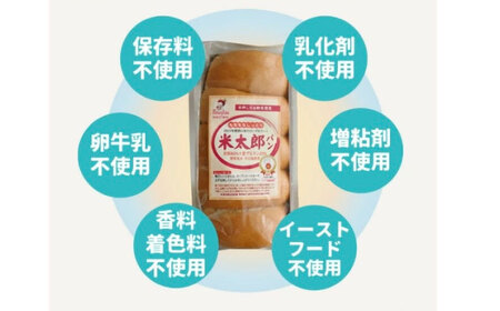 パン お米のドライジンジャーシナモンバゲット 4本 [BACW024] パン