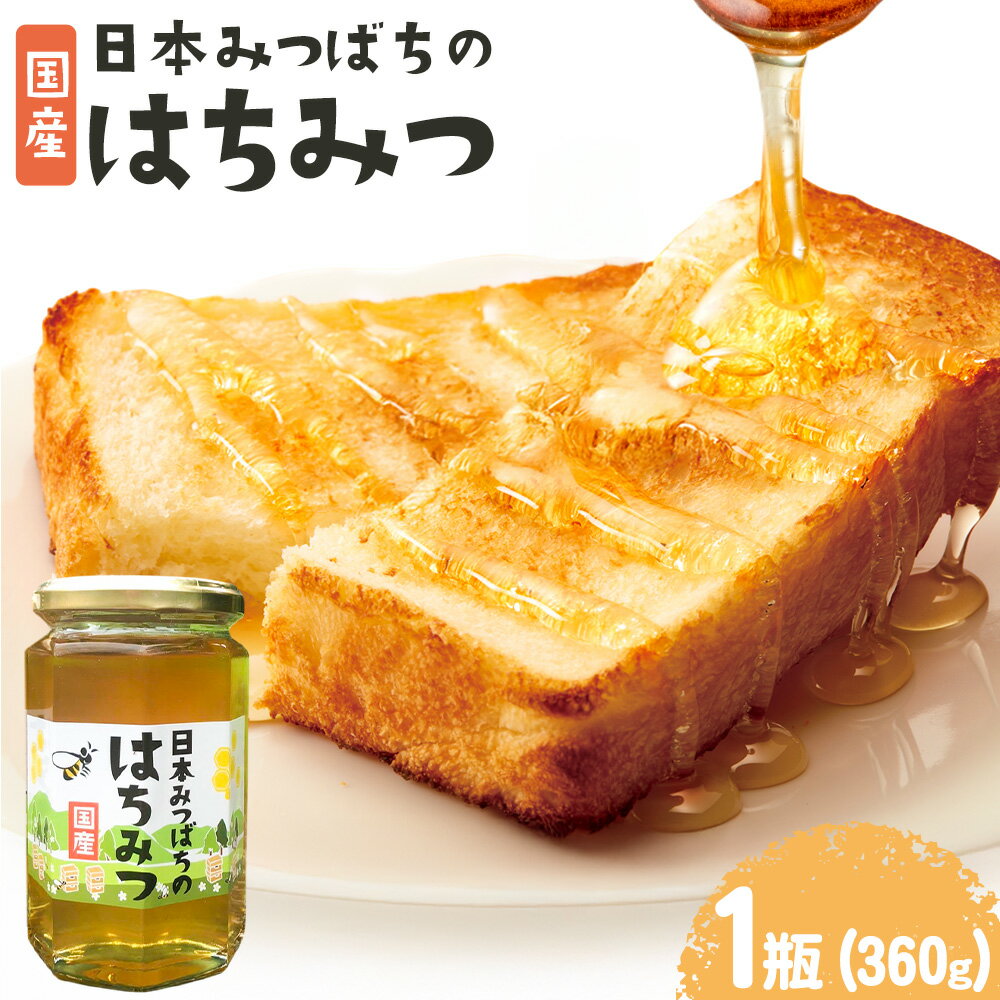 【ふるさと納税】日本みつばちのはちみつ 1瓶360g 　正木ぶどう園《2025年9月上旬‐2026年2月下旬頃出荷》徳島県 美馬市 はちみつ 国産 蜂蜜 ハチミツ 送料無料