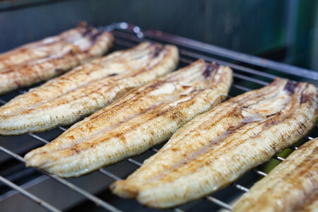国産うなぎ 白焼き 10枚 約120g×10 鰻 鰻 鰻 鰻 鰻 石毛川魚店