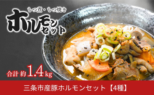 【ホルモン】 新潟県三条市産豚ホルモンセット もつ煮 ホルモン焼き 三条ホルモン 下田 ホルモン 【010S707】