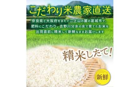 【先行予約】令和7年産 ひのひかり 10kg（5kg×2） 米農家直送 ／ 石田さん家 こだわりの米 ふるさと納税 お米 精米【ishi003】