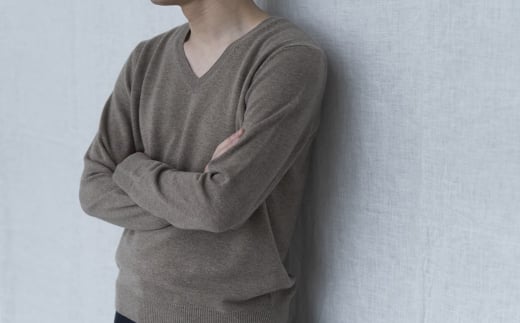 Vネックプルオーバー 度詰(コルク)男性用サイズ:LL(46)≪白田のカシミヤ≫
