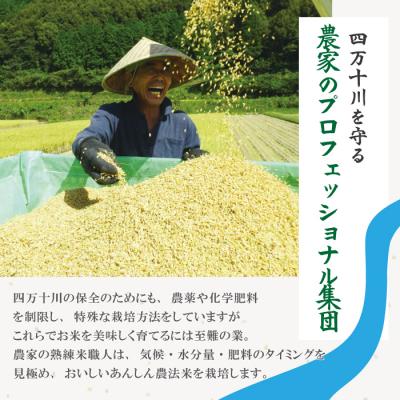 ふるさと納税 四万十市 【令和7年産・5回定期便】しまんと農法米(コシヒカリ)10kg(5kg×2袋)×5回(計50kg |  | 02