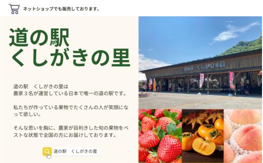 【先行予約】富有柿 2kg～2.5kg 6個入 至高の逸品 約1000個に１個！ 2026年10月末から11月末頃に順次発送予定（お届け日指定不可）/ 和歌山 柿 かき フルーツ 果物 くだもの 刀根