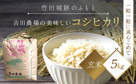 【令和6年産 新米】竹田城跡の麓 吉田農場の美味しいコシヒカリ（玄米）5kg 兵庫県 朝来市 AS1AD1 お米 米 おこめ ごはん ご飯 こしひかり 玄米 新米 新米 新米 新米 新米 新米 新米 新米 新米 新米 新米 新米 新米 新米 新米 新米 新米 新米 新米 新米 新米 新米 新米 新米 新米 新米 新米 新米 新米 新米 新米 新米 新米 新米 コシヒカリ こしひかり コシヒカリ こしひかり コシヒカリ こしひかり コシヒカリ こしひかり コシヒカリ こしひかり コシヒカリ こしひかり コシヒ