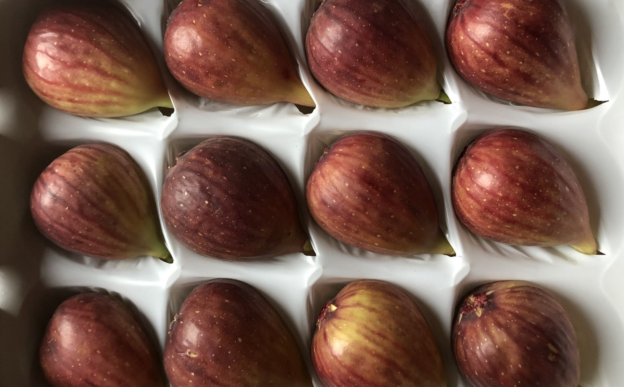 ［ハウス栽培］和歌山県産 樹上完熟 いちじく 12玉入り ★2025年8月より順次発送 ［TM207］