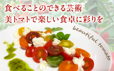 【数量・期間限定】美トマト(5色) 1kg ミニトマト 野菜 ギフト