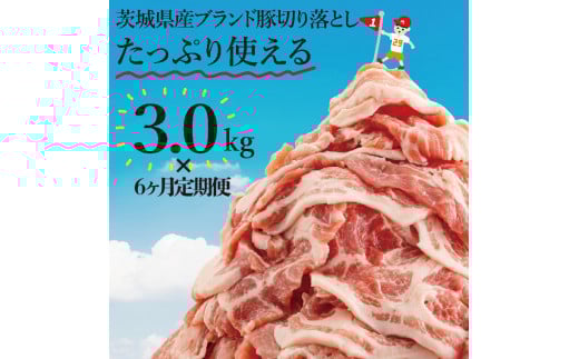 【数量限定】【6か月定期便】茨城県産豚ブランド切り落とし計18kg(３kg×6回)【肉 豚肉 切り落とし 小分け 真空 真空パック 茨城県産 肉料理 肩ロース ウデ モモ バラ 水戸市 水戸】（EC-103）