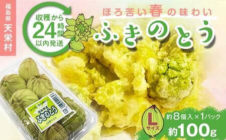収穫から24時間以内に発送！ほろ苦い春の味わい「ふきのとう」Lサイズ1パック100g（約8個） F21T-347