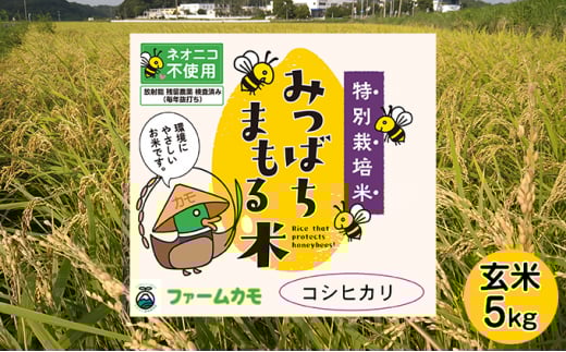 【2025年10月上旬より順次発送】雄踏ファームカモ産　玄米「特選みつばちまもる米」5kg コシヒカリ お米 ライス ご飯 主食 おにぎり お弁当 ブランド米 もちもち 甘い香り 特別栽培米 検査米 1等米 国産 浜松市産  [№5786-4762]