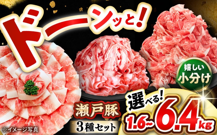 
                  瀬戸豚 豚肉3種セット 計6.4kg / 肉 豚肉 豚バラ しゃぶしゃぶ 冷凍 小分け / 瀬戸市 / 関屋精肉店 [BBBQ225]
                