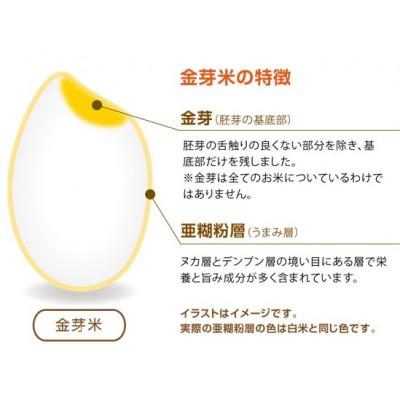 ふるさと納税 和歌山市 金芽米ハイセレクト9kg(4.5kg×2) |  | 01