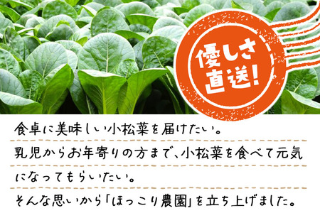 山形県白鷹町産【訳あり】とれたて小松菜（5kg）個数限定 国産 旬 野菜 やさい こまつな