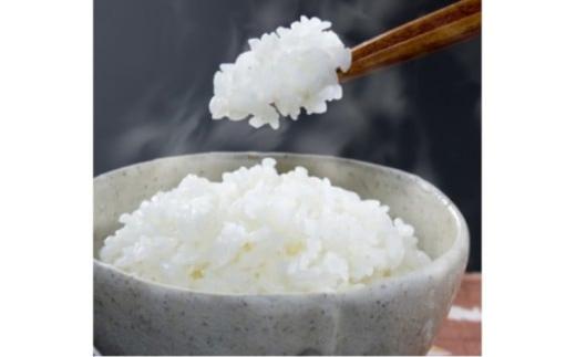 ＜定期便 全6回＞ 令和7年新米 真庭市産 太安さんちのあきたこまち 無洗米 10kg（5kg×2袋）×6回 / お米 国産 岡山県 人気 ブランド 2025年産 【tkns-tkb049】