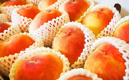 《2026年産先行受付》山形県産 白桃 秀品 5kg（12玉～20玉） 品種おまかせ 軟らかくなる桃 あかつき 川中島白桃 伊達白桃 他 もも モモ 桃 デザート フルーツ 果物 くだもの 果実 食品