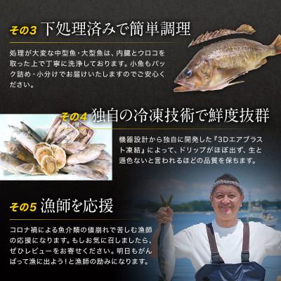 ふるさと納税 鹿部町 【訳あり】 北海道鹿部町の漁師応援プロジェクト!冷凍鮮魚セット 約4〜4.5kg SM15-2S |  | 02