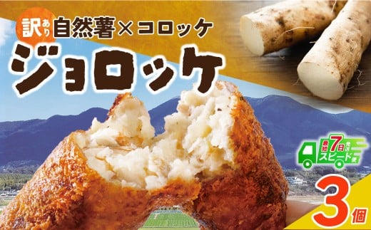 W19-05 自然薯たっぷり！福智町産じねんじょコロッケ【訳あり・冷凍・スピード発送】スピード発送 ジョロッケ 3個セット じねんじょ 山芋 野菜 グルメ 取り寄せ ご当地 特産 産地 直送人気 オススメ 惣菜