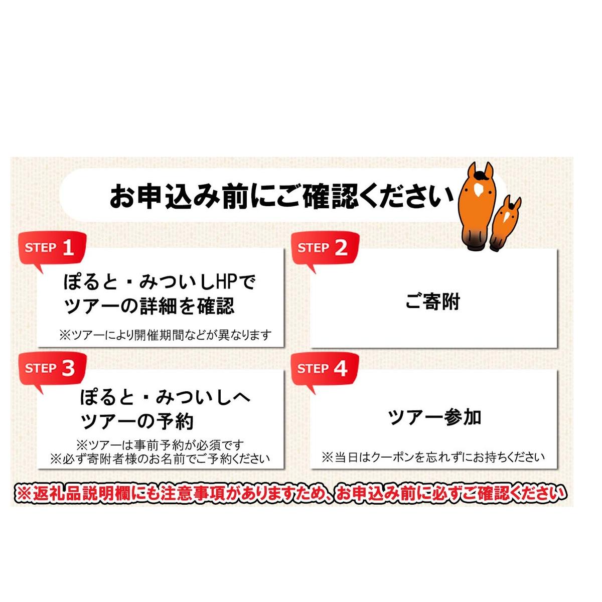 北海道 新ひだか町 体験 ツアー クーポン 5,000円分 日高 三石 釣り 星空 観賞 日高山脈 眺望ツアー 馬 サラブレッド 牧場 見学_イメージ2