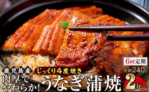 【6回定期】うなぎ 蒲焼 120g×2尾【鹿児島産】地下水で育てた絶品鰻